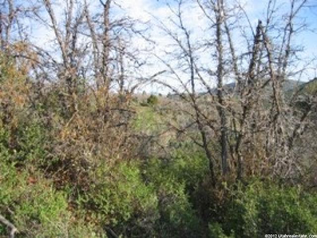 1467 #1467, Heber City, UT 84032 — photo 7