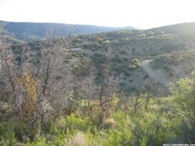 1467 #1467, Heber City, UT 84032 — photo 8