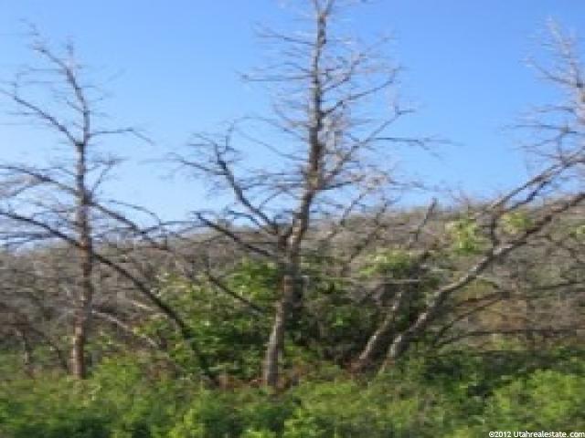 1467 #1467, Heber City, UT 84032 — photo 9