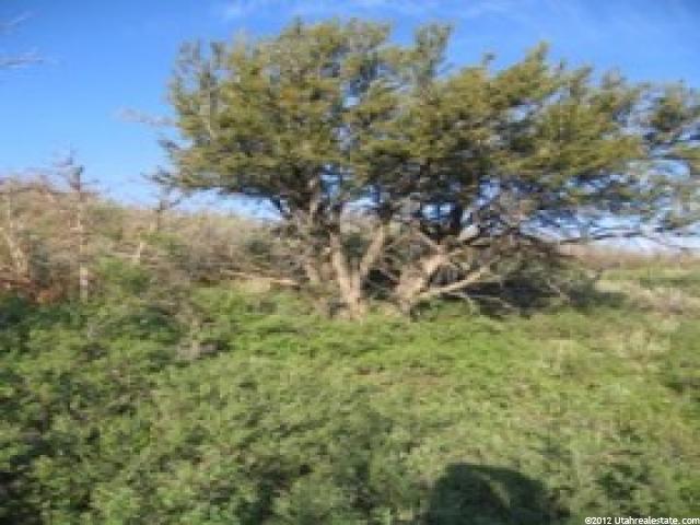 1467 #1467, Heber City, UT 84032 — photo 10
