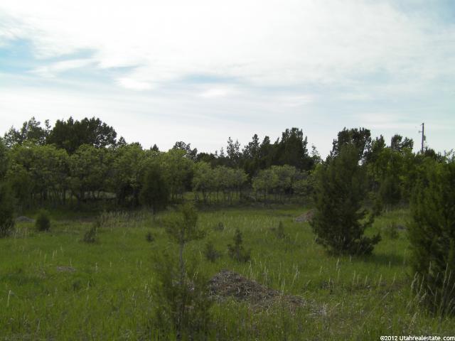 14360 N 11640 E #196, Mt Pleasant, UT 84647 — photo 2