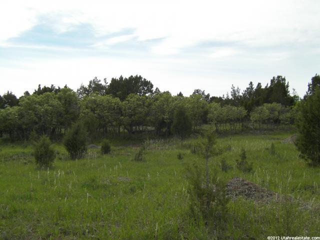 14360 N 11640 E #196, Mt Pleasant, UT 84647 — photo 11