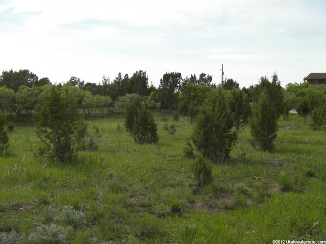 14360 N 11640 E #196, Mt Pleasant, UT 84647 — photo 12