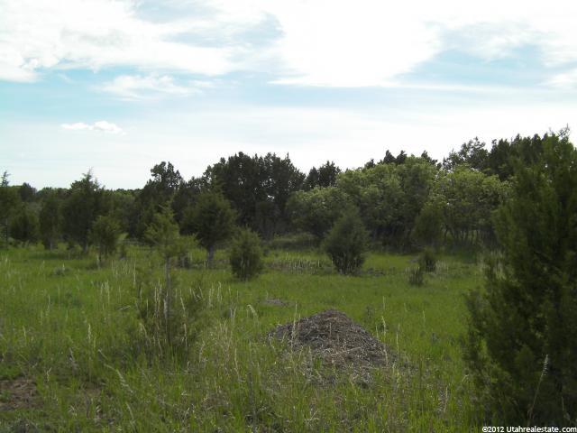 14360 N 11640 E #196, Mt Pleasant, UT 84647 — photo 8
