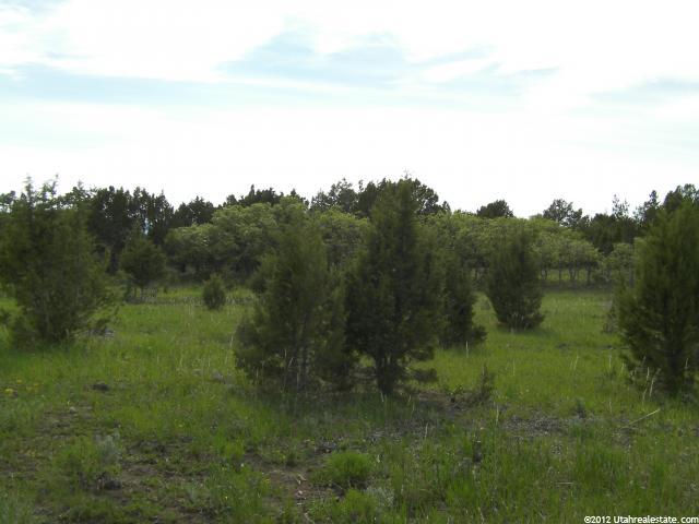 14360 N 11640 E #196, Mt Pleasant, UT 84647 — photo 10