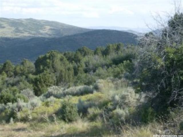 7 Big Holw E #7, Fairview, UT 84629 — photo 2