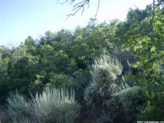 7 Big Holw E #7, Fairview, UT 84629 — photo 11