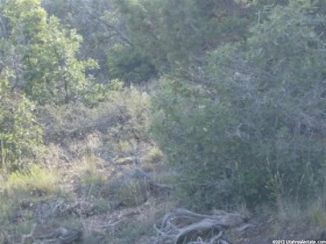 7 Big Holw E #7, Fairview, UT 84629 — photo 3