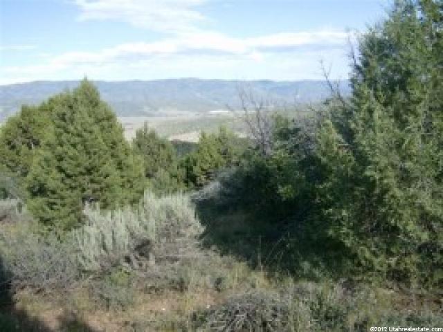 7 Big Holw E #7, Fairview, UT 84629 — photo 5
