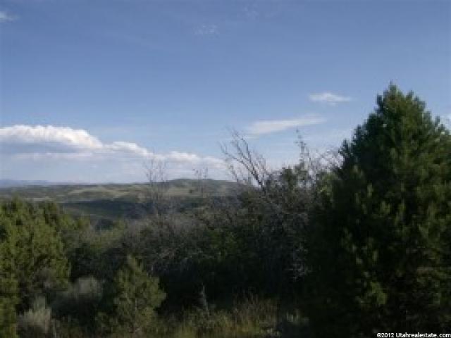 7 Big Holw E #7, Fairview, UT 84629 — photo 6