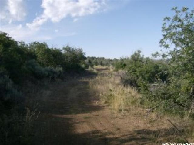 7 Big Holw E #7, Fairview, UT 84629 — photo 7