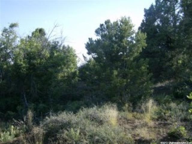 7 Big Holw E #7, Fairview, UT 84629 — photo 10