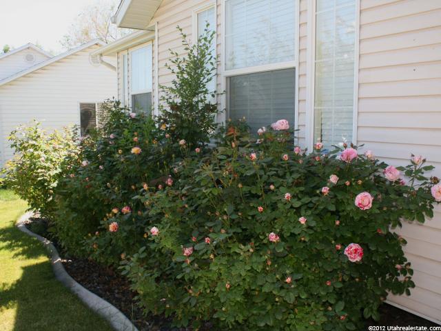 265 N 750 W, Layton, UT 84041 — photo 9
