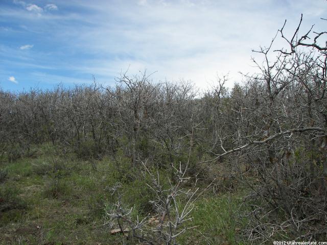 #221, Wanship, UT 84017 — photo 4