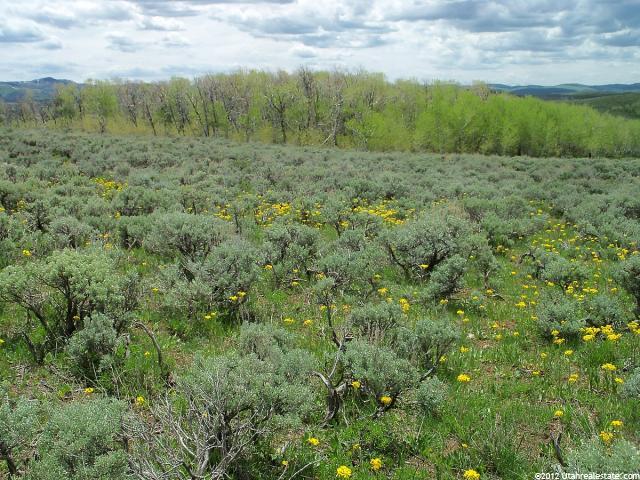Daniel, UT 84032 — photo 2