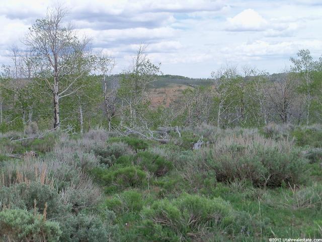 Daniel, UT 84032 — photo 5