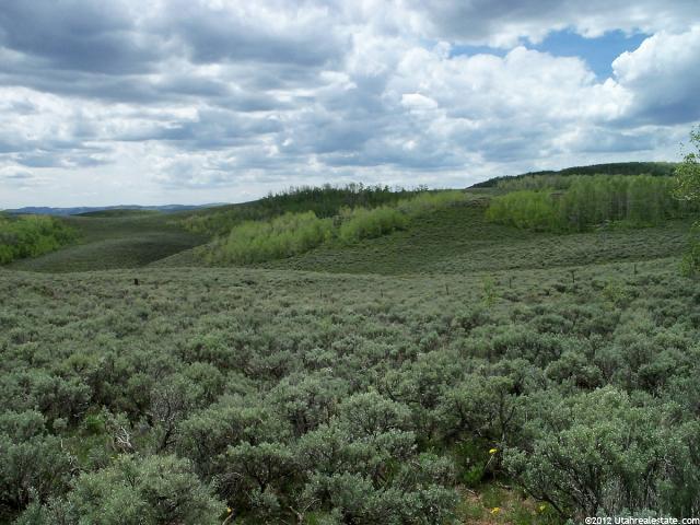 Daniel, UT 84032 — photo 8