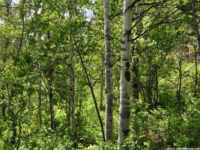 118 River Rd #118, Oakley, UT 84055 — photo 3