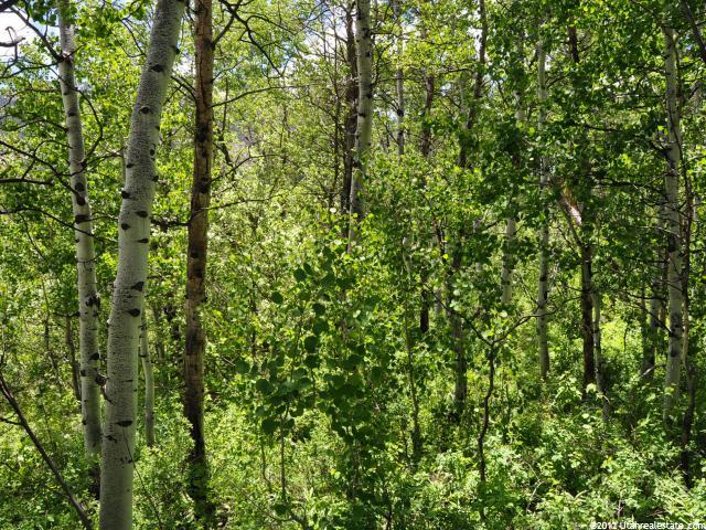 118 River Rd #118, Oakley, UT 84055 — photo 4