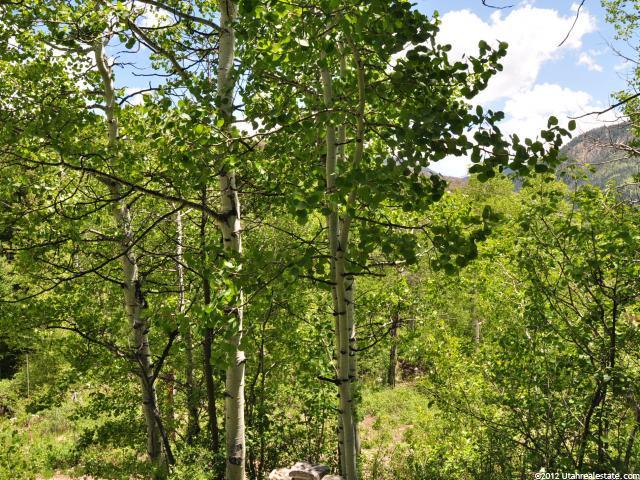 118 River Rd #118, Oakley, UT 84055 — photo 6