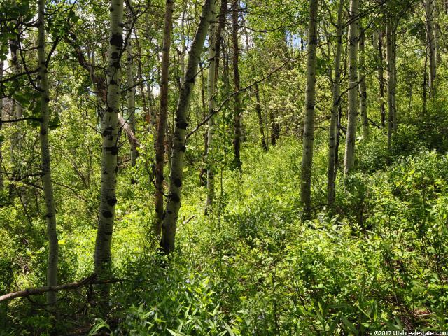 118 River Rd #118, Oakley, UT 84055 — photo 8