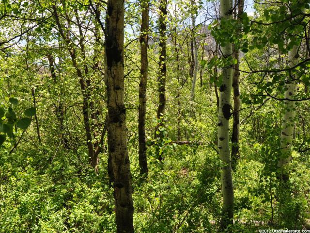 118 River Rd #118, Oakley, UT 84055 — photo 9