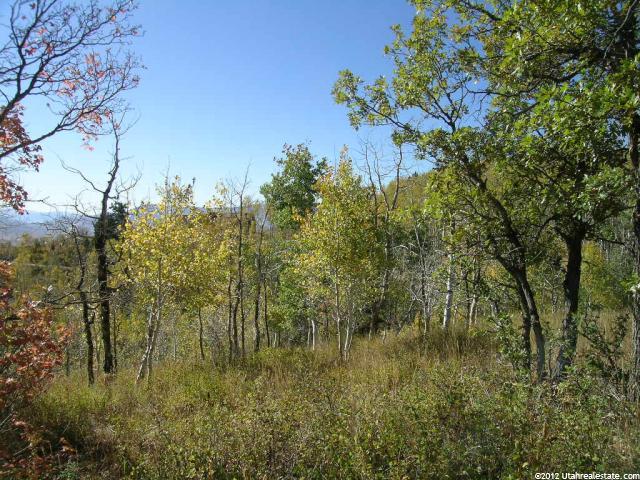 2484 S Forestmeadow Rd #127A, Wanship, UT 84017 — photo 3