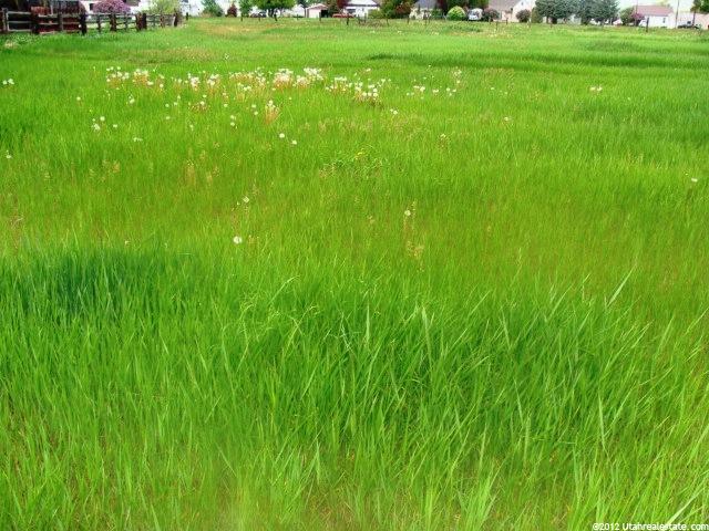 100 N 12th, Montpelier, ID 83254 — photo 11