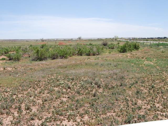 2217 E 1000 N, Ballard, UT 84066 — photo 2