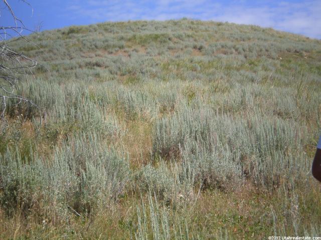 #94, Huntsville, UT 84317 — photo 11