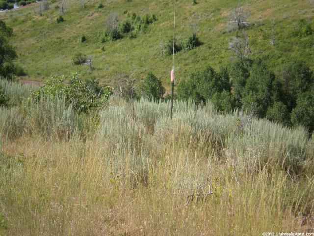 #94, Huntsville, UT 84317 — photo 4