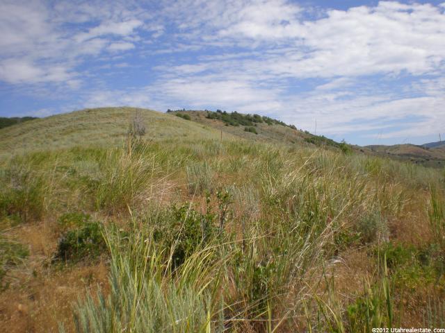 #94, Huntsville, UT 84317 — photo 6