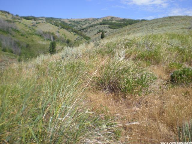#94, Huntsville, UT 84317 — photo 7