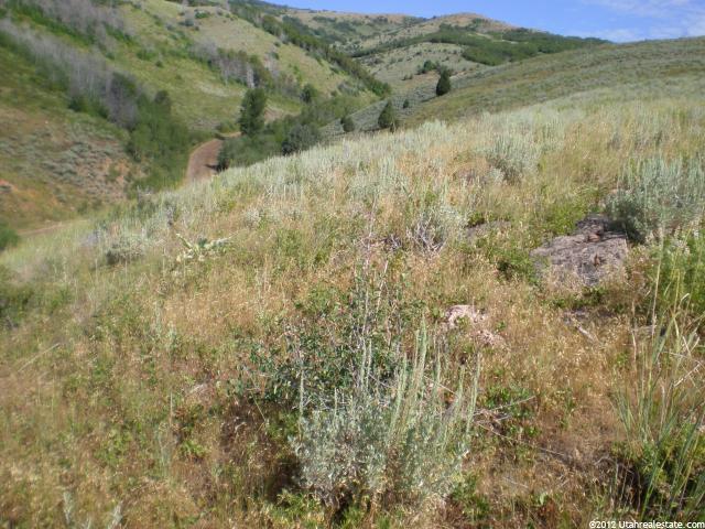 #94, Huntsville, UT 84317 — photo 8