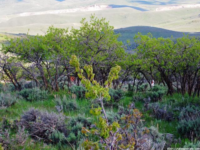 194 Ridge Top #194, Wanship, UT 84017 — photo 3