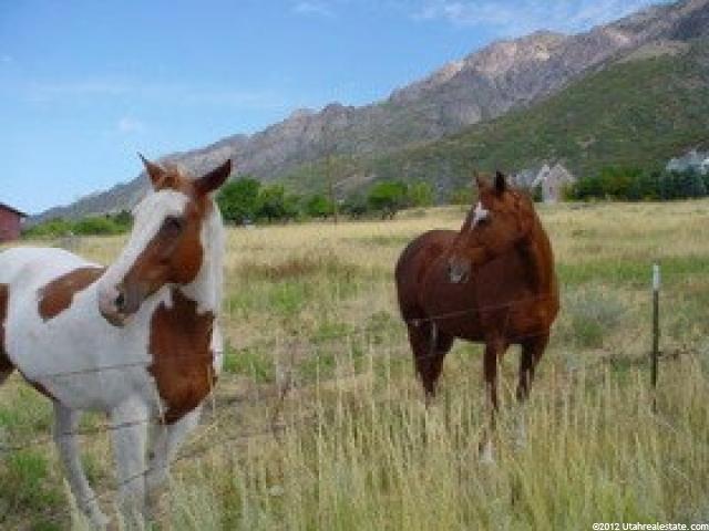 4424 N 175 W ##4, Pleasant View, UT 84414 — photo 6
