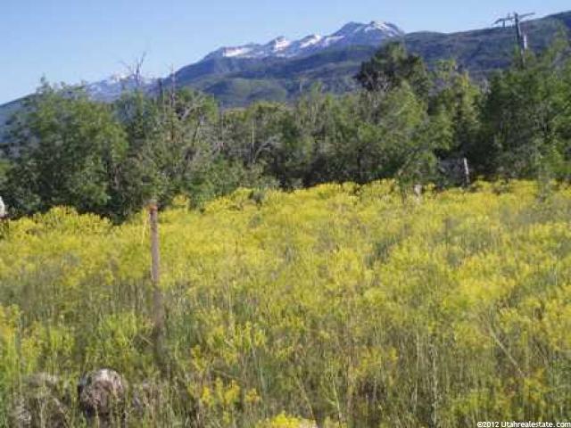 4271 N Powder Mountain Dr #7, Eden, UT 84310 — photo 3