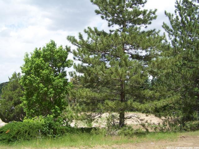 10521 S Dimple Dell Rd E, Sandy, UT 84092 — photo 2