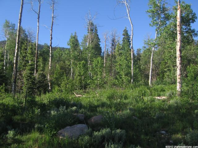 2227 Creek Crossing Loop #5, Park City, UT 84098 — photo 5