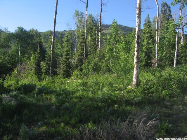 2227 Creek Crossing Loop #5, Park City, UT 84098 — photo 6