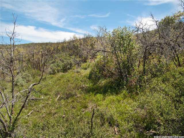 7728 E Grove Ln, Heber City, UT 84032 — photo 4