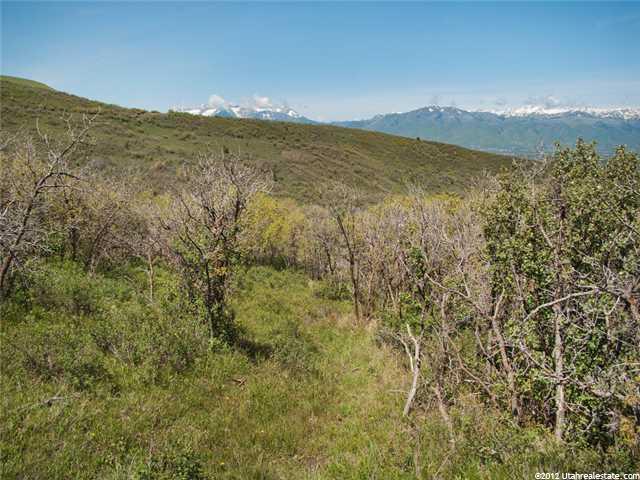 7728 E Grove Ln, Heber City, UT 84032 — photo 5
