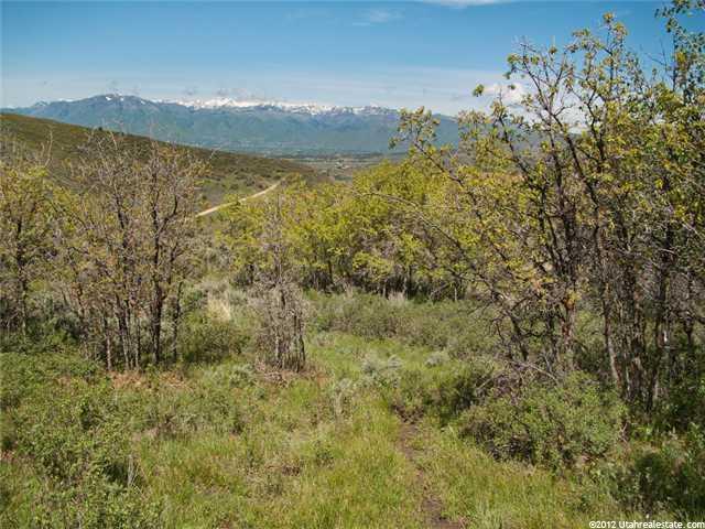 7728 E Grove Ln, Heber City, UT 84032 — photo 6