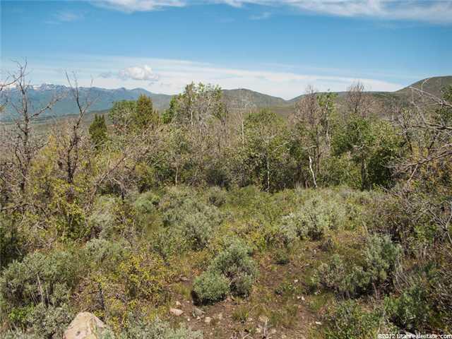 7728 E Grove Ln, Heber City, UT 84032 — photo 9