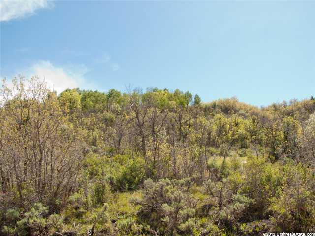 1761 S Beaver Bench Rd #1422, Hailstone, UT 84032 — photo 11