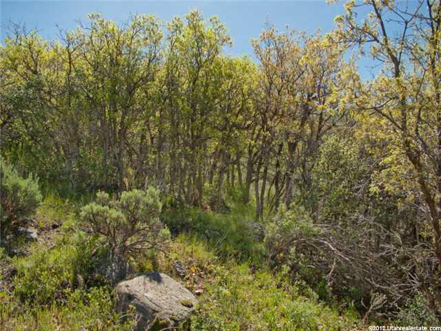 1761 S Beaver Bench Rd #1422, Hailstone, UT 84032 — photo 8