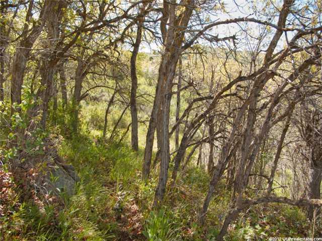 1761 S Beaver Bench Rd #1422, Hailstone, UT 84032 — photo 10