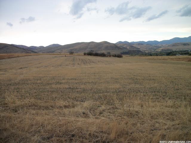 1300 E Canyon Rd, Avon, UT 84328 — photo 3
