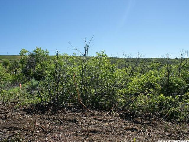 1382 Lasso Trl #20, Hideout, UT 84036 — photo 7