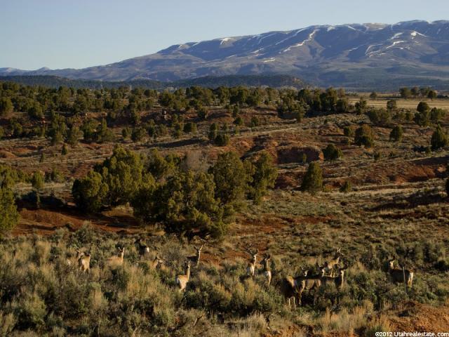 #14, Fruitland, UT 84027 — photo 7